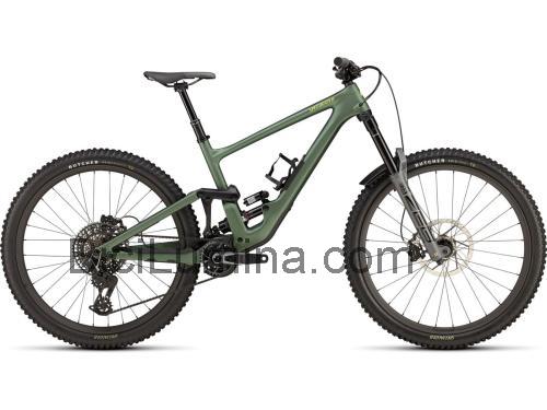 Specialized Enduro Pro ficha técnica y opiniones